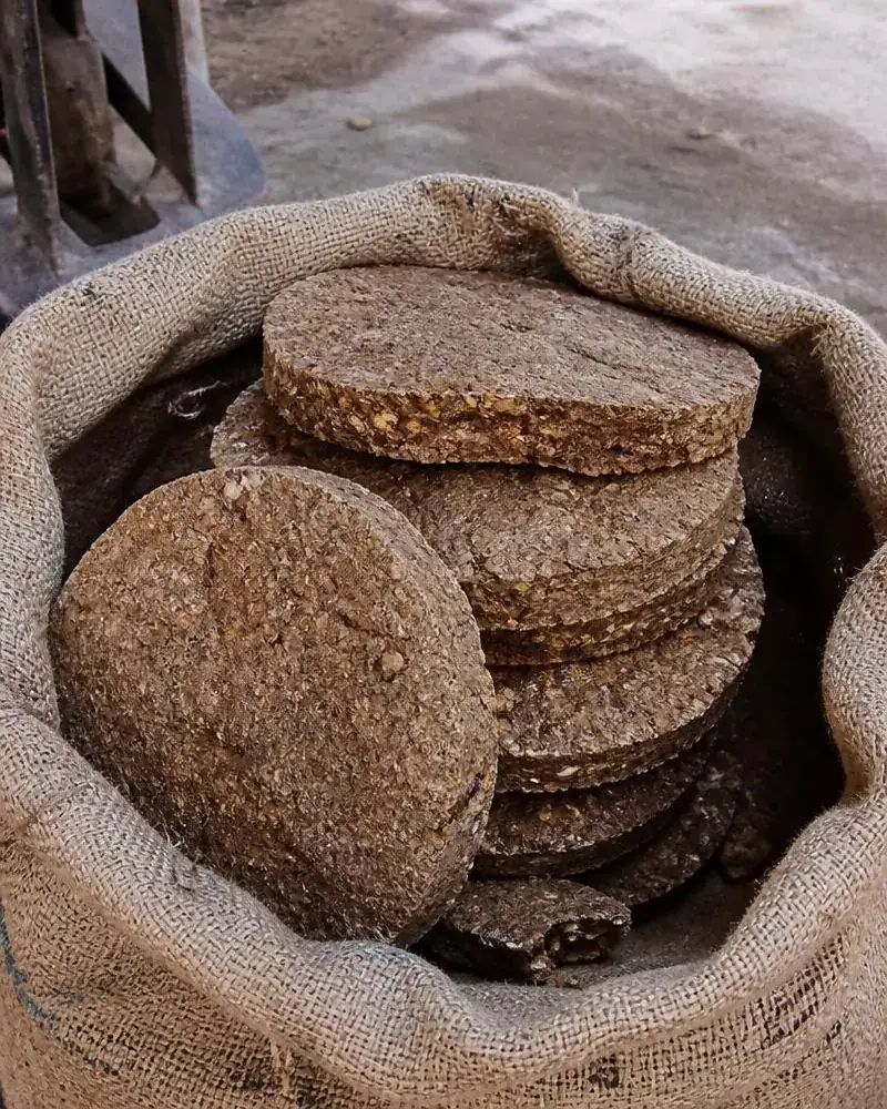 Groundnut Seed Cake